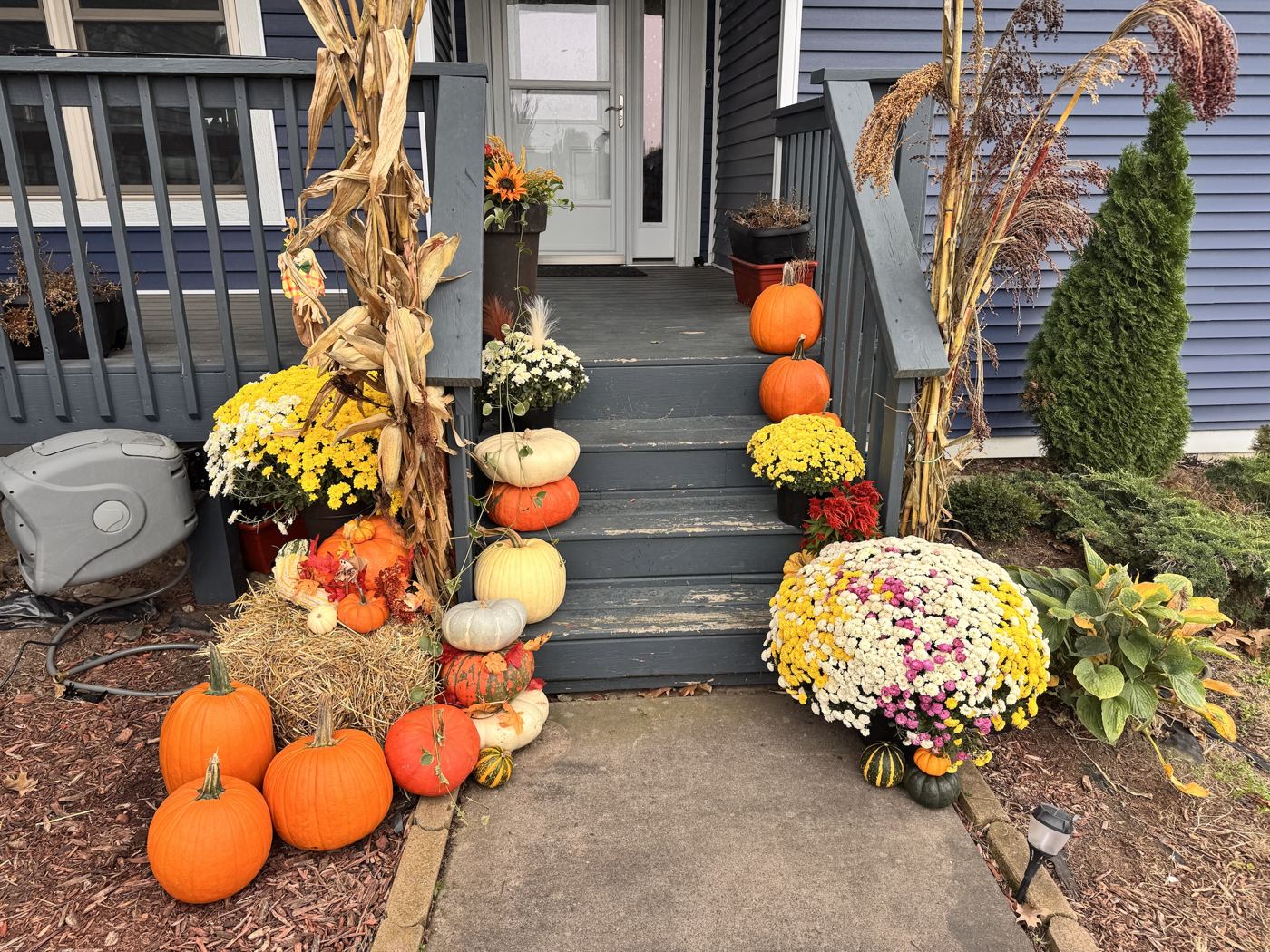 Front steps lined with pumpkins, white and orange gourds, yellow mums and corn stalks