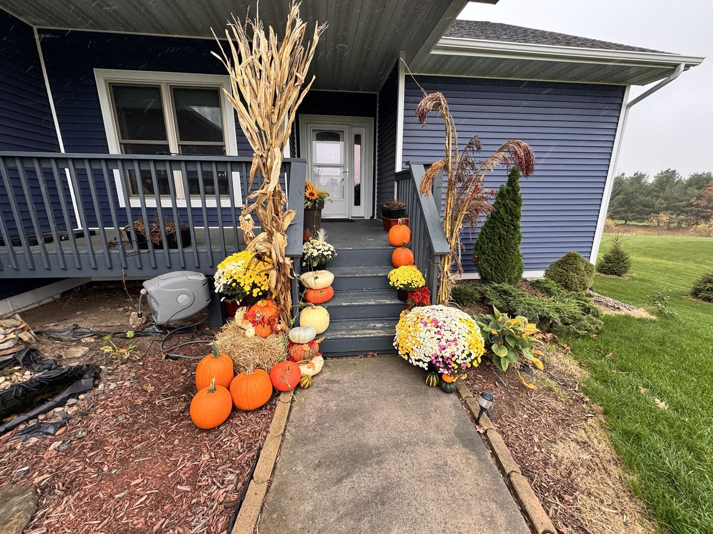 Blue house front steps decorated with pumpkins, mums and corn stalks