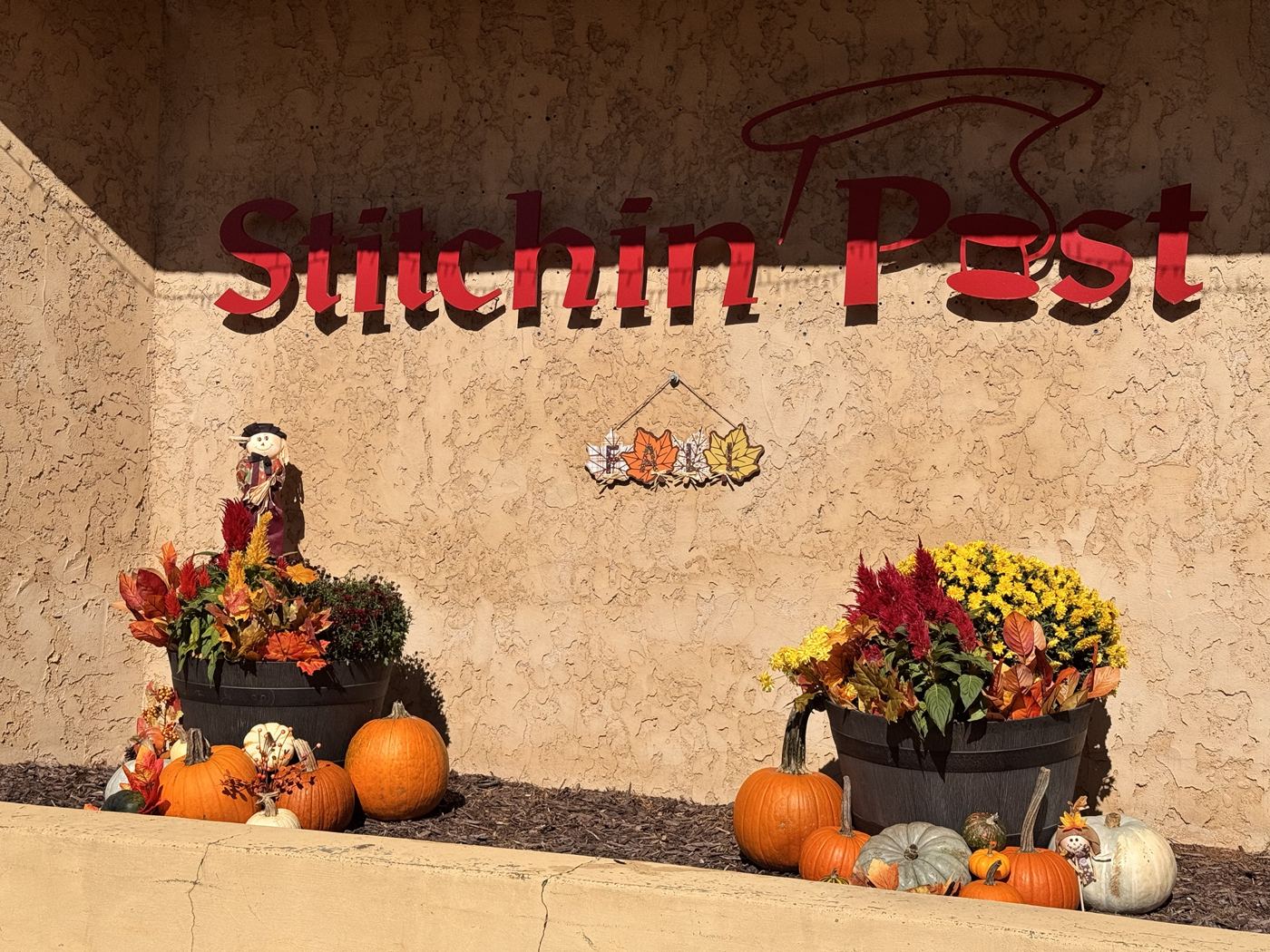 Shop front with barrel planters, mums and pumpkins